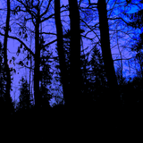 Hidden Space Station Found In The Woods