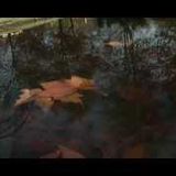 Oasi d'autunno- Oasis Autumn (soundtrack for video - 2013)