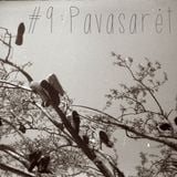 #9: Pavasaret