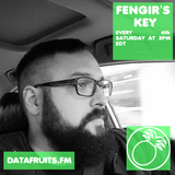 Fengir's Key 01 - datafruits.fm