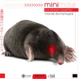 minimole