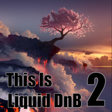 This is Liquid DnB 2