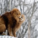Unity Sound - Everlasting Love Winter Mix 2012