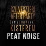 Peat Noise @ Szilveszteri After Party, Kisterem, Eger (Hungary) (01.JAN.2016)