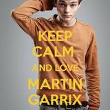 martin garrix t-mashup
