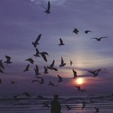 'World Can Wait' ~ Liquid Drum & Bass Mix.