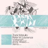 Zack Marullo live mix with 3 decks @ VakEgér - MOZAIK (2012-06-15)