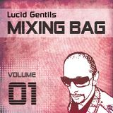 Gipsy Fleurs :: Lucid Gentil in the Mix 2010-08-21