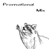 Raccoon-Raccoon Promotional Mix