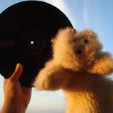 "La noche de los discos vivientes / Viva la radiotelefonía y la zafacoca!" 07 by Carlos Reinoso