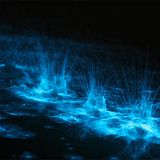 Deepchill