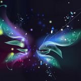DjKalbar Music Festival Episode 13 (House)