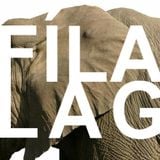 Fílalag - Layla