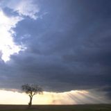 Ephemeral feeling by Looney T.