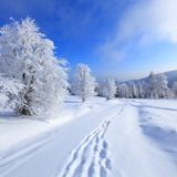 winter feelings