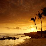 DJ Rodrak pres. SUNSHINE 005