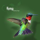 Flying - First part of an unique, tranquilly chill out mix for flying or just watching sunset.
