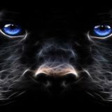#3 Hands Up Mix by McPanther