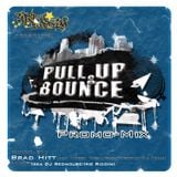 Irie Riddim & Brad Hitt - Pull Up and Bounce