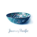 Journey Pacific