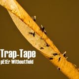 pEtEr Withoutfield - Trap-Tape
