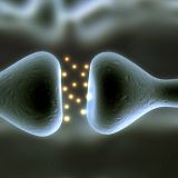 PromoMix(III_MMXII)_SynapticGap