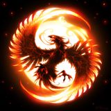 Meta Zen - Phoenix Rising