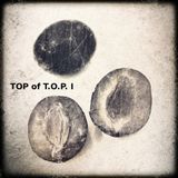 TOP of T.O.P. I