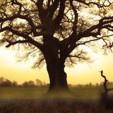 DJ Aldana - Uplifting Darkness (Halloween Mix)