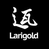 Larigold guestmix for Bassport FM (19-10-2013)