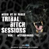 TRIBAL BITCH SESSIONS Vol 1 (Afterhours) - DJ PAULO