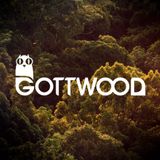 Gottwood Festival 2015 Competition Mix (Eshan and Omar's mix)