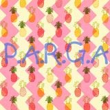 PARGA _ DJSet_Nov_2014_