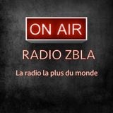 Radio Zbla 03/03/14 Partie 1: Invité spécial Pharell Williams et Enora Malagré.