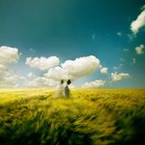 Echoes within summer breeze