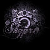 SKYPRO-REMIX SELECTION