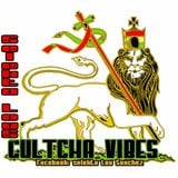 Mi Culture Vybz 2010