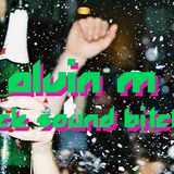 ALVIN M - FUCK SOUND BITCH!!