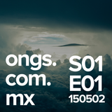 ONGs - E01 - Como equilibrar la diversificación de ingresos con la misión.