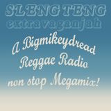 Sleng Teng Extravaganjah - Nuff Ruff Sleng Teng Version