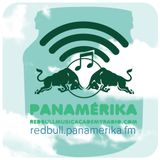 Red Bull Panamérika No.344 - Retoñitos