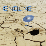 EVOLVEMIX045