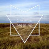 Chance Meeting
