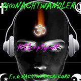 Dj-Nachtwandler-bOoMm uP tHe FuLL bAss oN. 2012. F.s.O.Nachtwerk Record