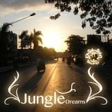 Destination Sound - Jungle Dreams Mixtape