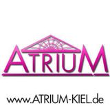 Atrium Live@Space 02.01.2016 Jan van Bass-10 & Phil DK