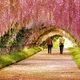 Spring Spirit Soul