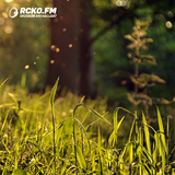 Zenit Incompatible - RCKO Midday mix (2015.01.19)