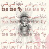 Tse Tse Fly - 5th March 2016