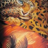 Channel Surfing Meditations #7 by Robert Foster